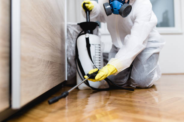 Best Rat Extermination Near Me  in Union Springs, NY