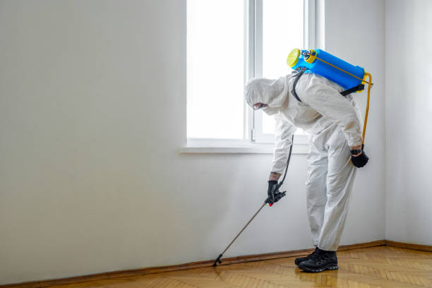 Best Rat Extermination Near Me  in Union Springs, NY
