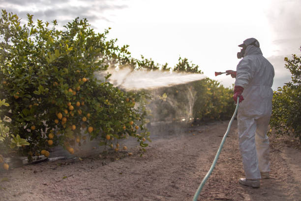 Best Insect Control  in Union Springs, NY