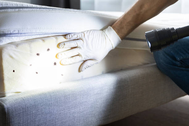 Pest Control Cost in Union Springs, NY
