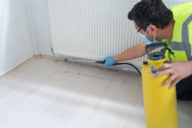 Best Residential Pest Control  in Union Springs, NY