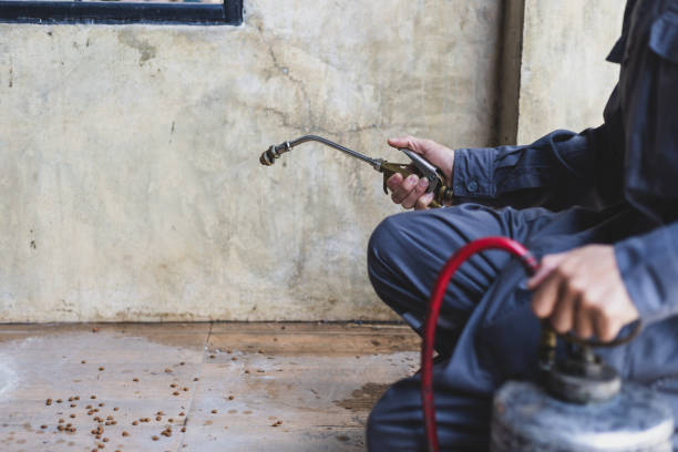 Best Best Pest Control Companies  in Union Springs, NY